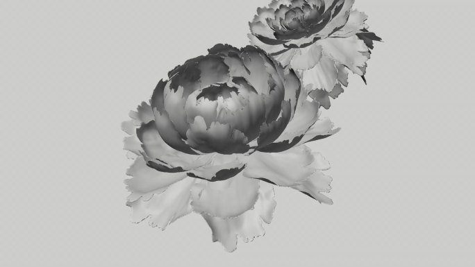 C4D牡丹花开工程OC渲染