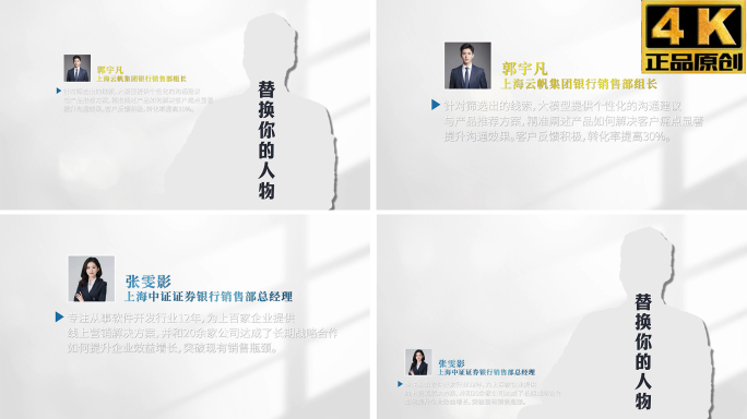 4K-高端人名条 简洁商务头像创意姓名条