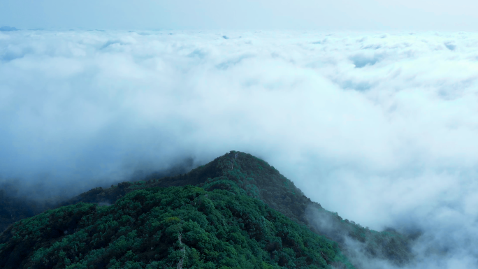 云海山川森林云大山风景云海云雾山水风光山