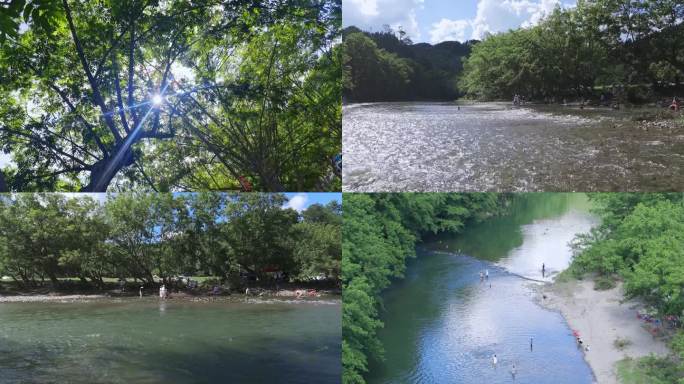 仲夏盛夏小暑入伏大暑中伏戏水玩水打水