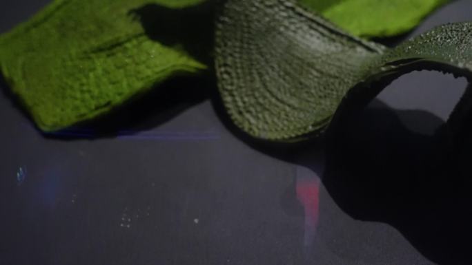 水熊虫 模型