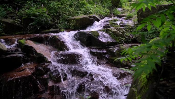 实拍森林水流视频素材