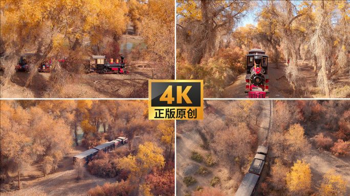 4K塔里木轮台火车穿过胡杨林航拍