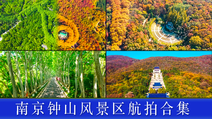 南京钟山风景区宣传片