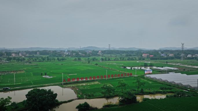 【正版素材】湖南永州永连公路标语0167