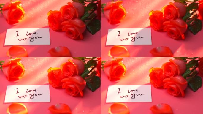 4K清新 阳光 玫瑰花 鲜花 七夕 情人