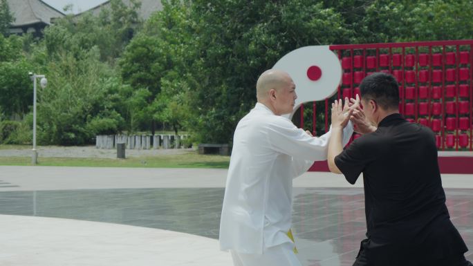 太极拳推手