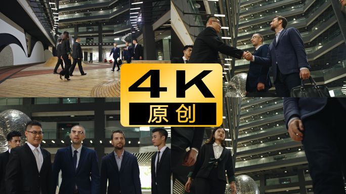 4K老外商务合作