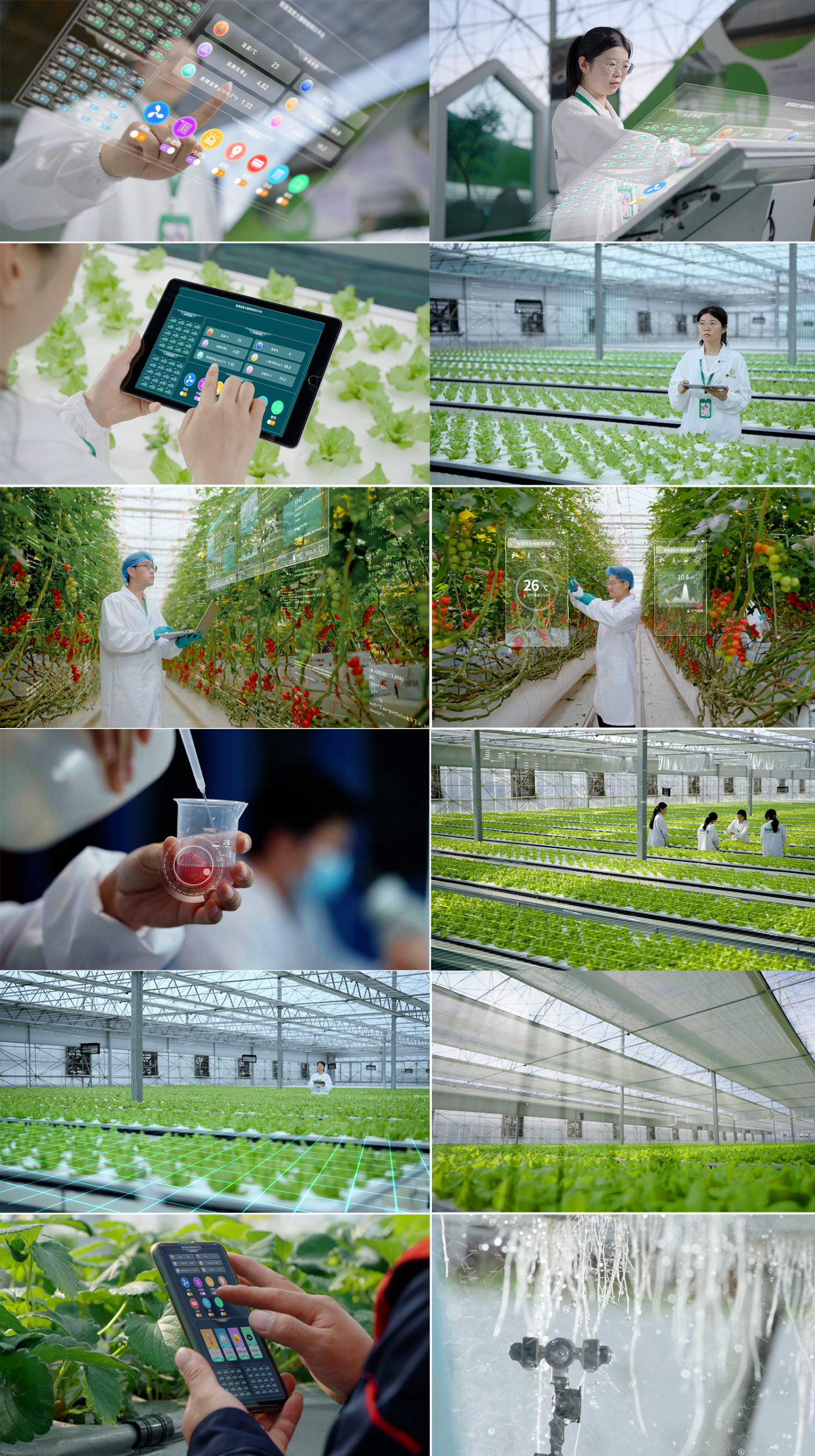 科技苑农业种植视频(科技农业种植官方网站)