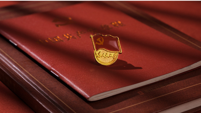 党政党建宣誓103周年徽章合集