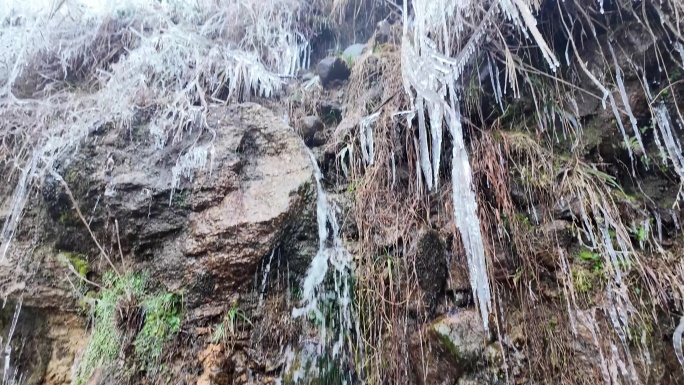 冰天雪地 南方下雪  南方降霜   冰雪