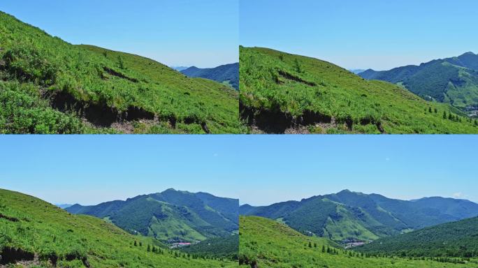 夏季高山草甸牧场草地风光