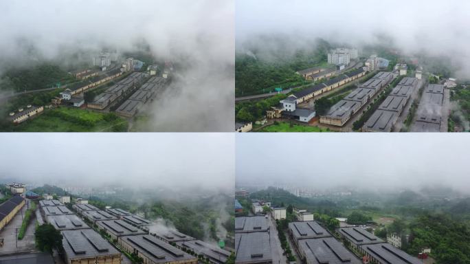 水墨金州 贵州醇酒厂