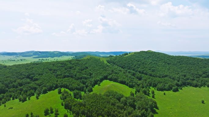 内蒙古草原风景