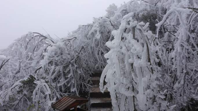 江西省赣州市崇义县阳明山国家森林公园雪景