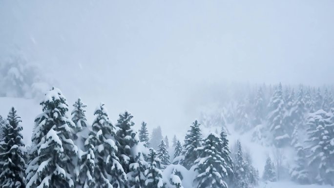 下雪暴雪暴风雪雪地