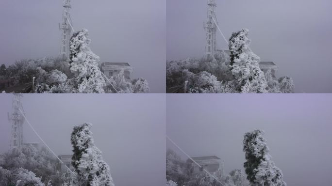 江西省赣州市崇义县阳明山国家森林公园雪景