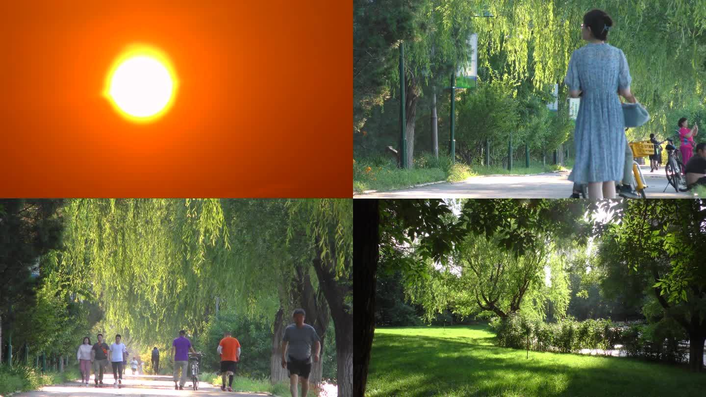 日出特写彩霞满天小区绿化草坪晨跑健身骑行