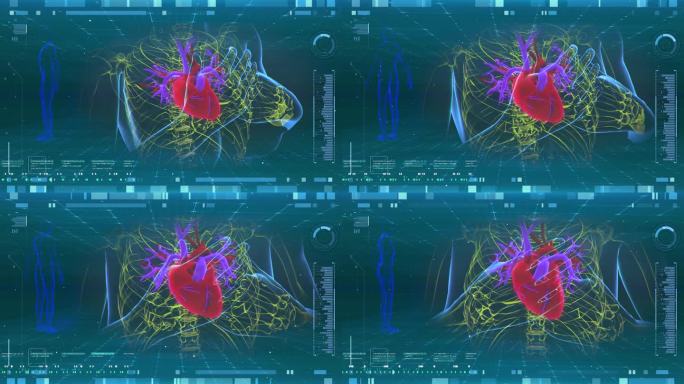 人体心脏病心梗心血管病动画扫描  4K
