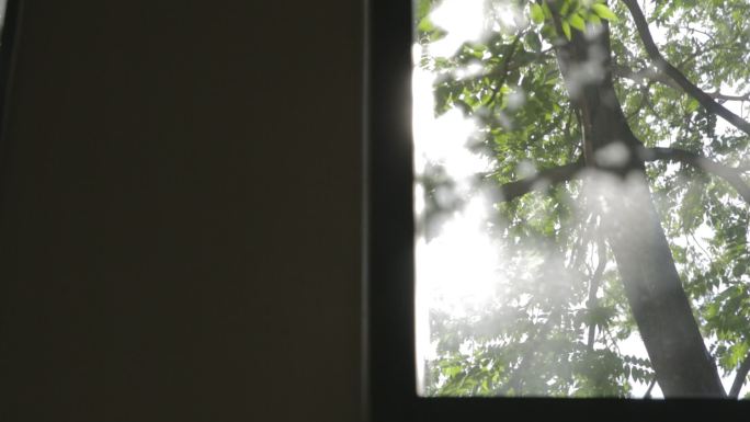 窗外透过树叶的阳光