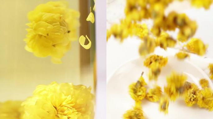 中药材花茶怀菊花茶