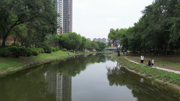 虞河 雨后河流 河边 夏季河边 钓鱼