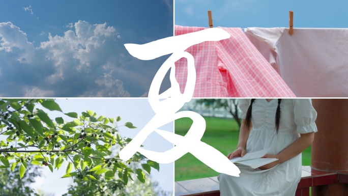 夏天小清新唯美空镜夏季阳光夏日树叶夏天云