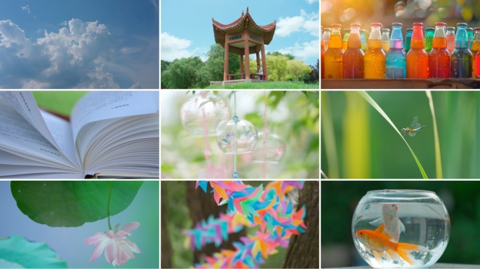 夏天唯美空镜夏日小清新树叶阳光夏季云荷花