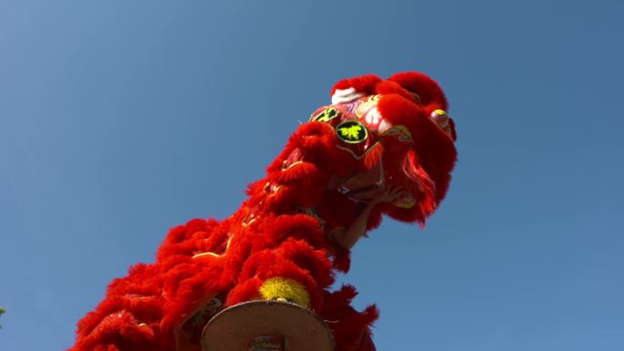 舞狮岭南醒狮非遗