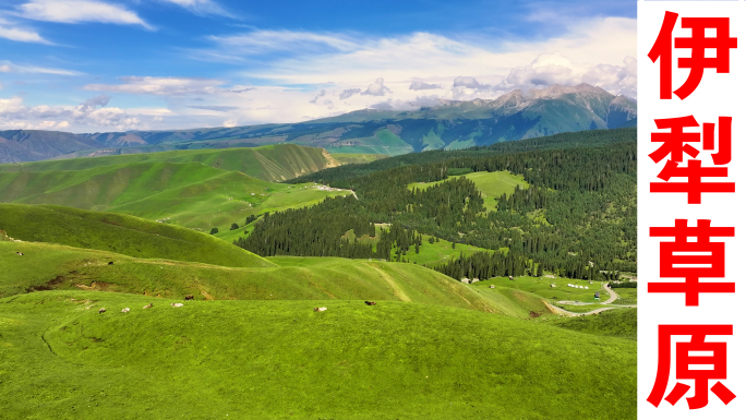 伊犁琼库什台大草原3