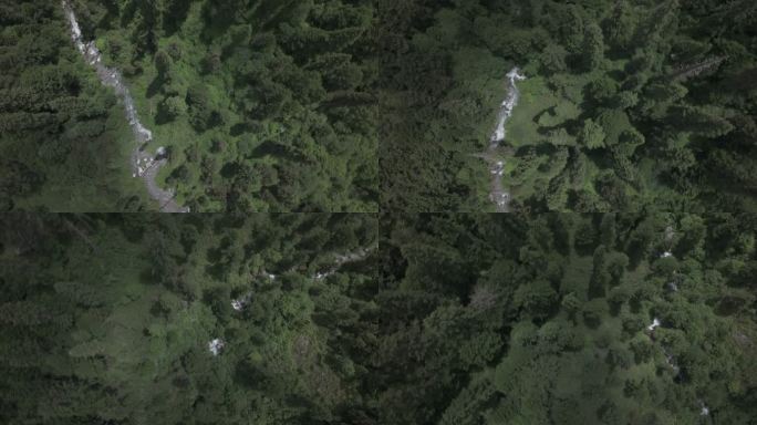 森林大山高清航拍 (10)