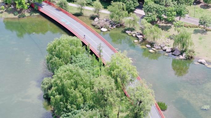 成都天府绿道上骑自行车锦城公园路段航拍