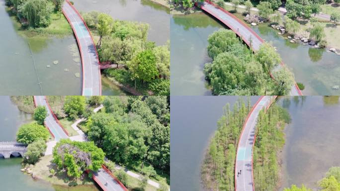 成都天府绿道上骑自行车锦城公园路段航拍