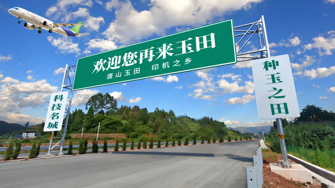 飞机在路牌上空飞过