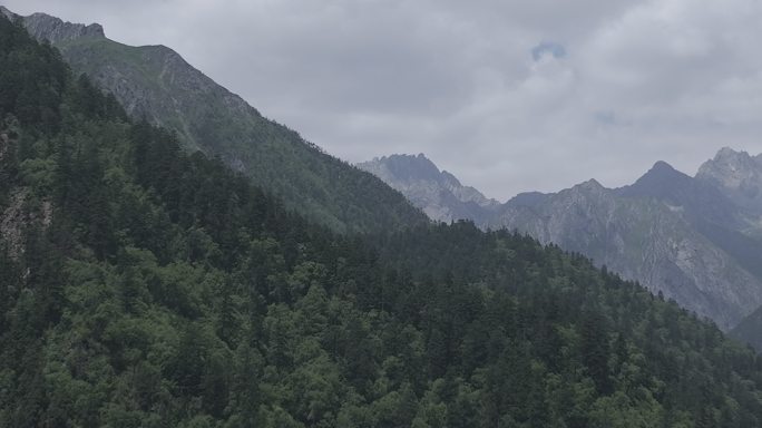 森林大山高清航拍 (8)