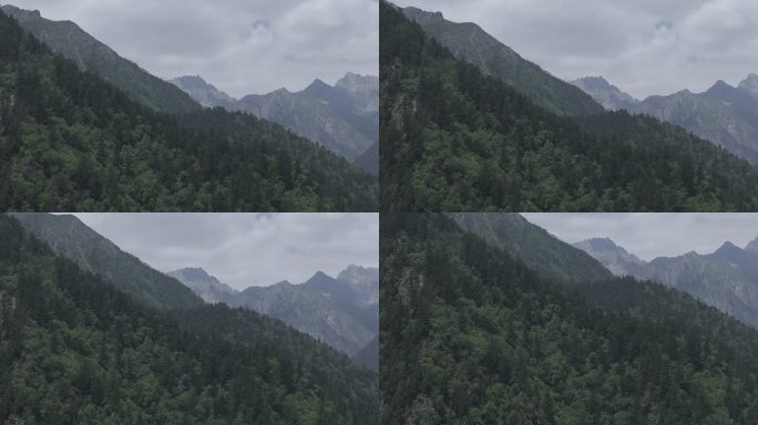 森林大山高清航拍 (8)