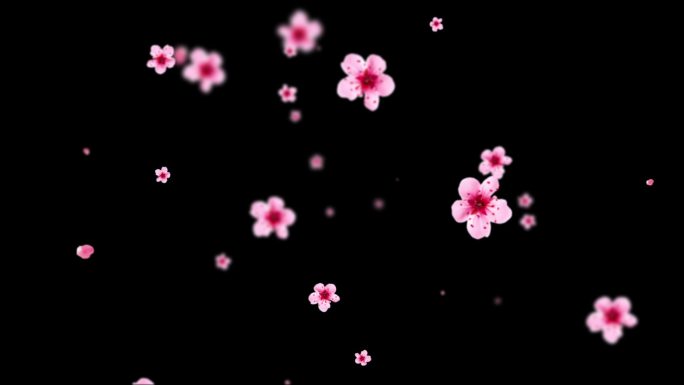 桃花花瓣飘落01