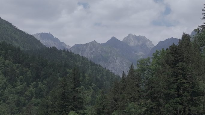 森林大山高清航拍 (6)