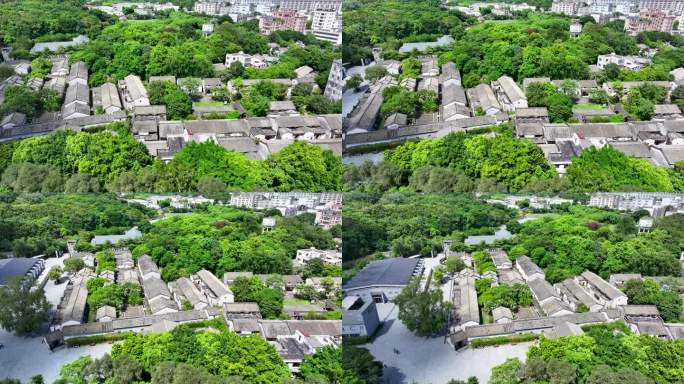 4K航拍深圳观澜版画基地