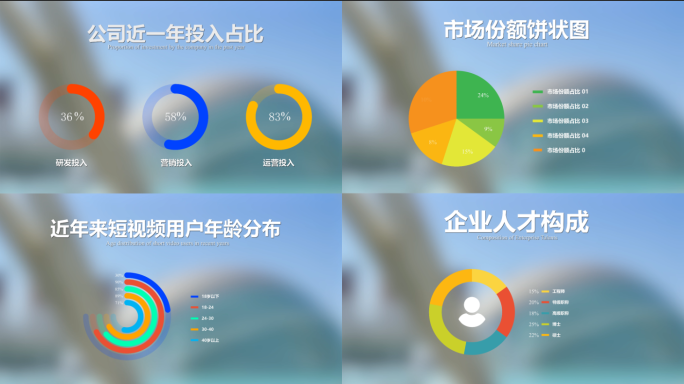 简约饼状图