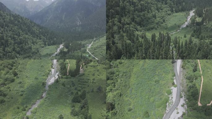 森林大山高清航拍 (13)