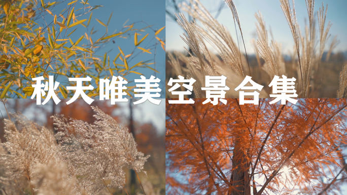 立秋秋分秋天空景