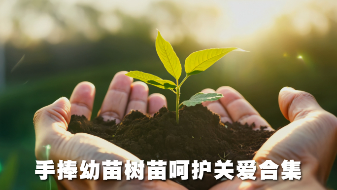 植树节手捧幼苗呵护关爱合集