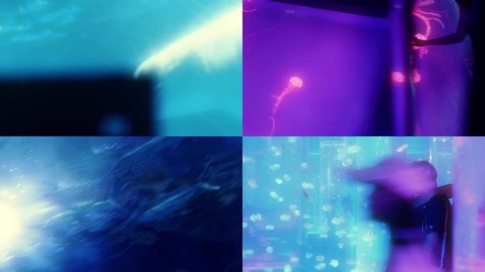 武汉极地海洋馆 情侣 氛围爱情 鲸鱼水母