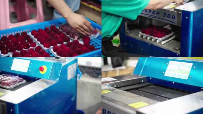 臻选分装精美包装的酸甜可口的仙居东魁杨梅