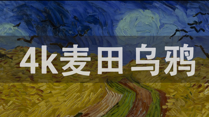 梵高麦田乌鸦 麦田上的乌鸦 鸦群飞的麦田