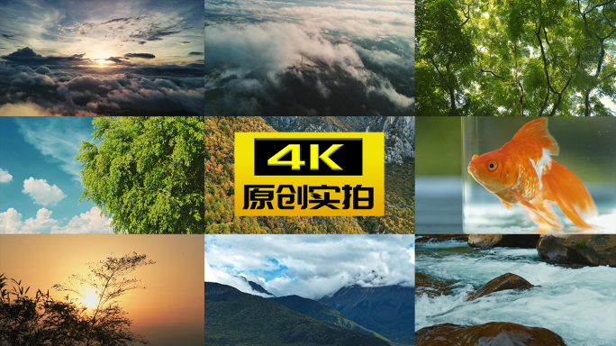 夏风秋风雨水森林云雾日出火烧云流水情绪