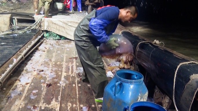 海蜇捕捞渔民深夜出海