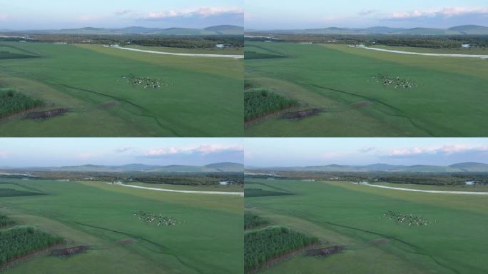 航拍呼伦贝尔湿地风光240720(12)