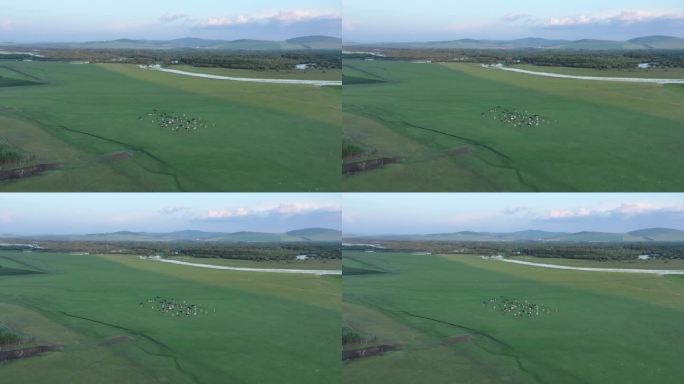 航拍呼伦贝尔湿地风光240720(11)